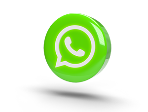 atendendimento do ecommerce pelo whatsapp